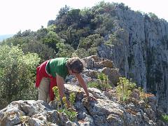 Picstloup (34)
